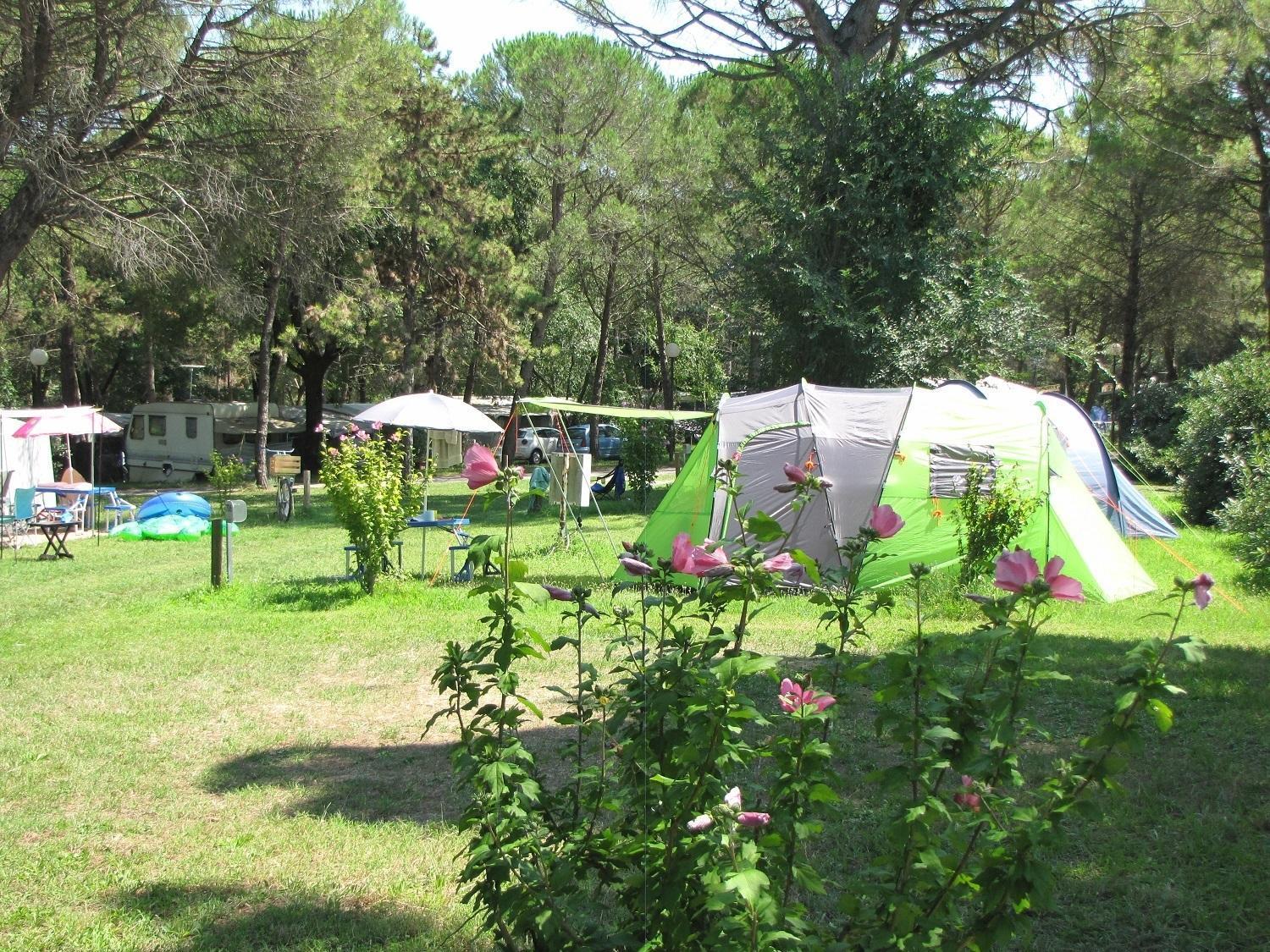 Belvedere Pineta Camping Village Grado Exterior photo
